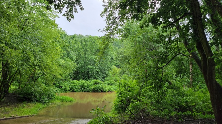 Small lake surrounded by thick evergreen trees in Crooked Creek State Recreation Area