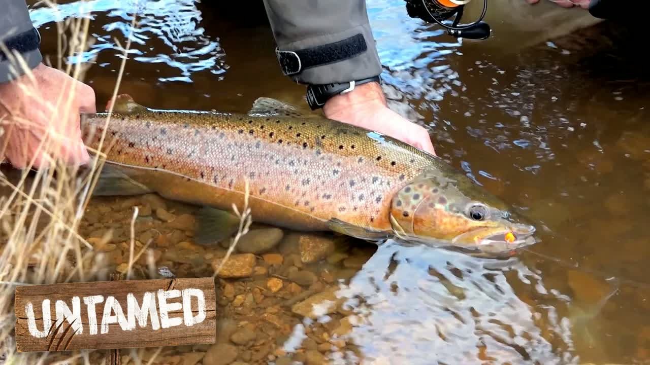 Catch of the day: Fly fishing vs lure fishing