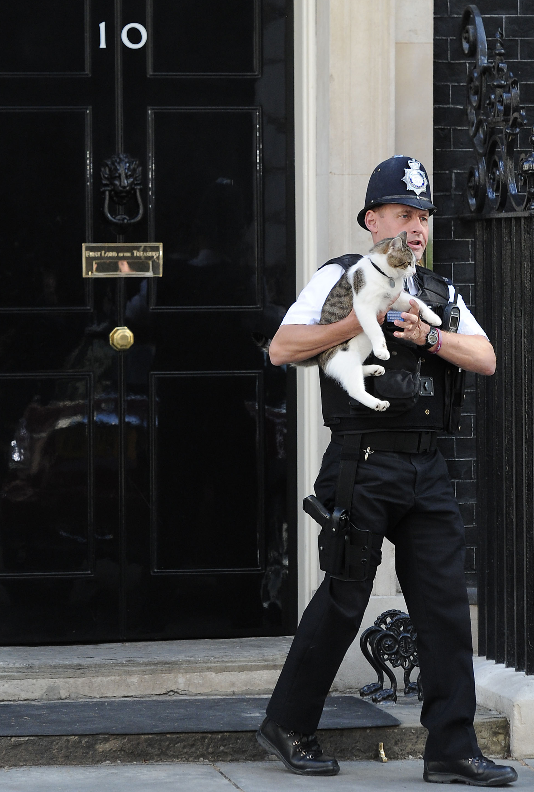 A police officer carries a cat.