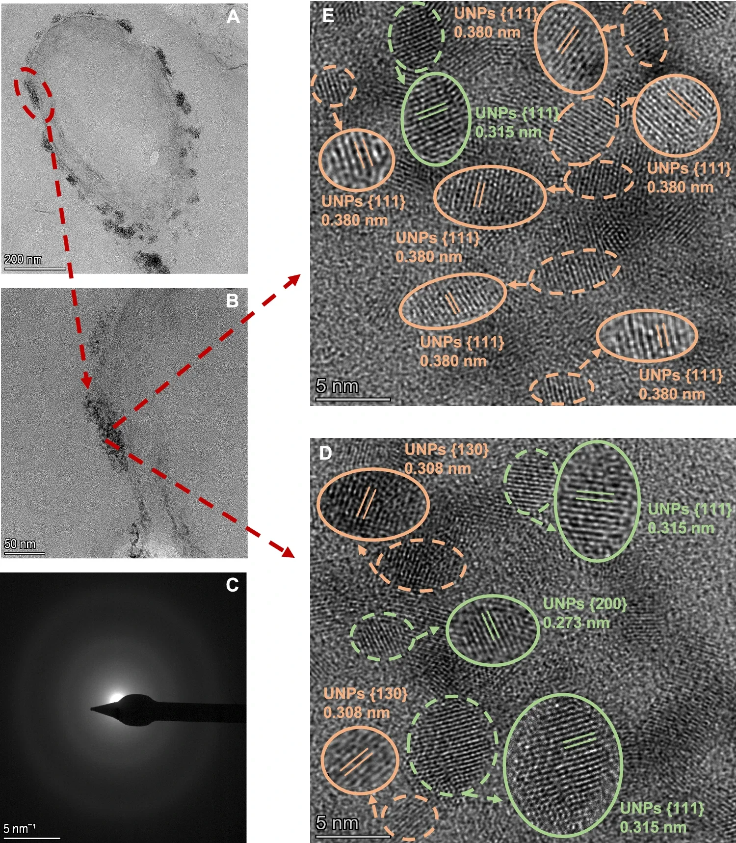 HAADF-STEM and HRTEM imaging of U nanoparticles. (CREDIT: Nature Communications)