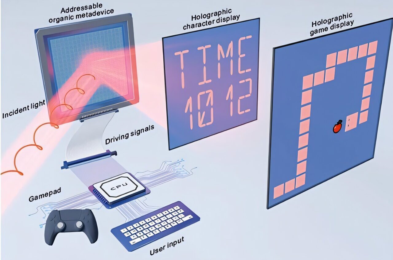 Programmable metasurface turns keyboard commands into dynamic holograms in milliseconds