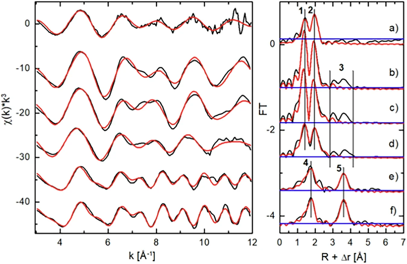 U L₃-edge EXAFS spectra and Fourier transforms of isolated uranium species. (CREDIT: Nature Communications)