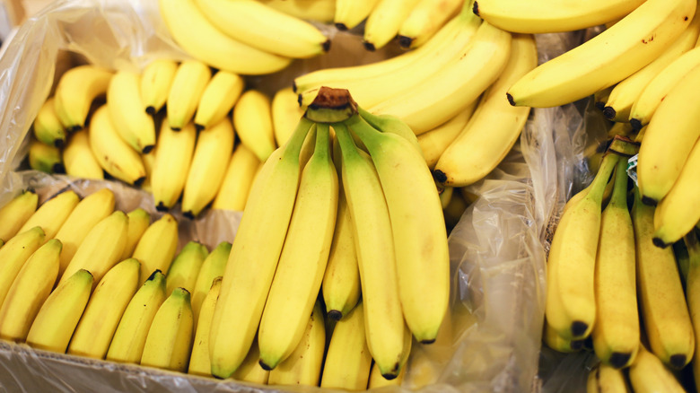 Avoid Buying Bananas That Lack This Simple But Important Feature