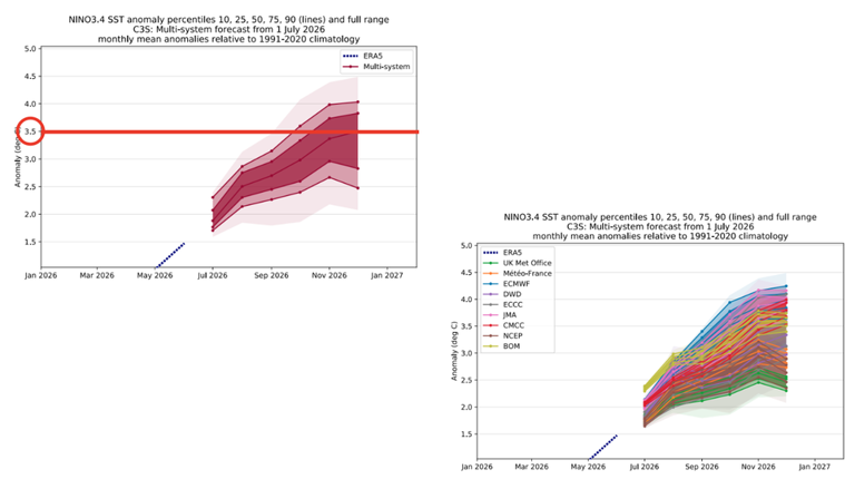 Previsão das anomalias absolutas de TSM na região Niño 3.4 pelo ensemble multimodelo do C3S (esquerda) e pelos nove modelos que compõem o sistema (direita). Créditos: Elaborado por Meteored com gráficos do C3S/ECMWF.