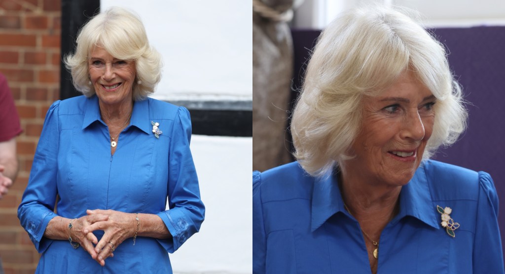 Queen Camilla's $9,350 Van Cleef & Arpels Butterfly Takes Flight