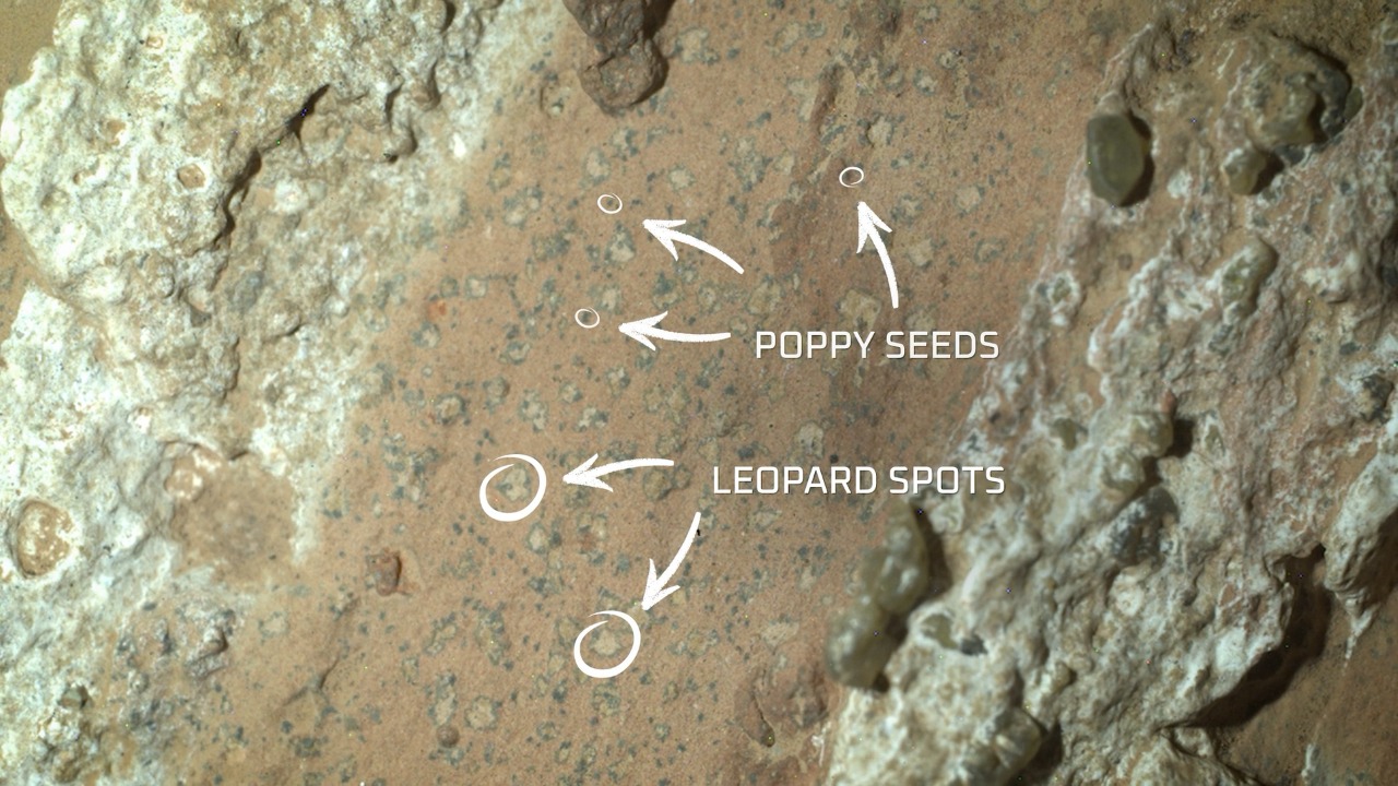 Perseverance found ‘leopard spots’ on Mars that hint at ancient life
