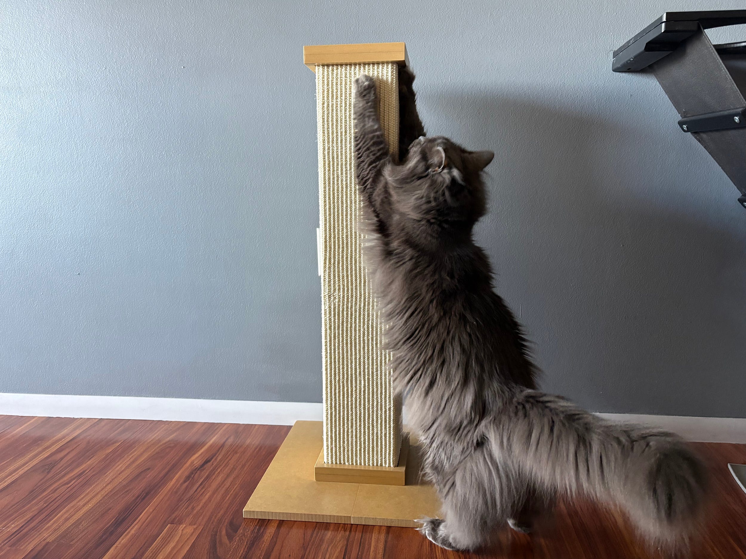 A long-haired gray cat stands on its hind legs and stretches to scratch a tall, rectangular sisal-and-wood scratching post set against a gray wall.