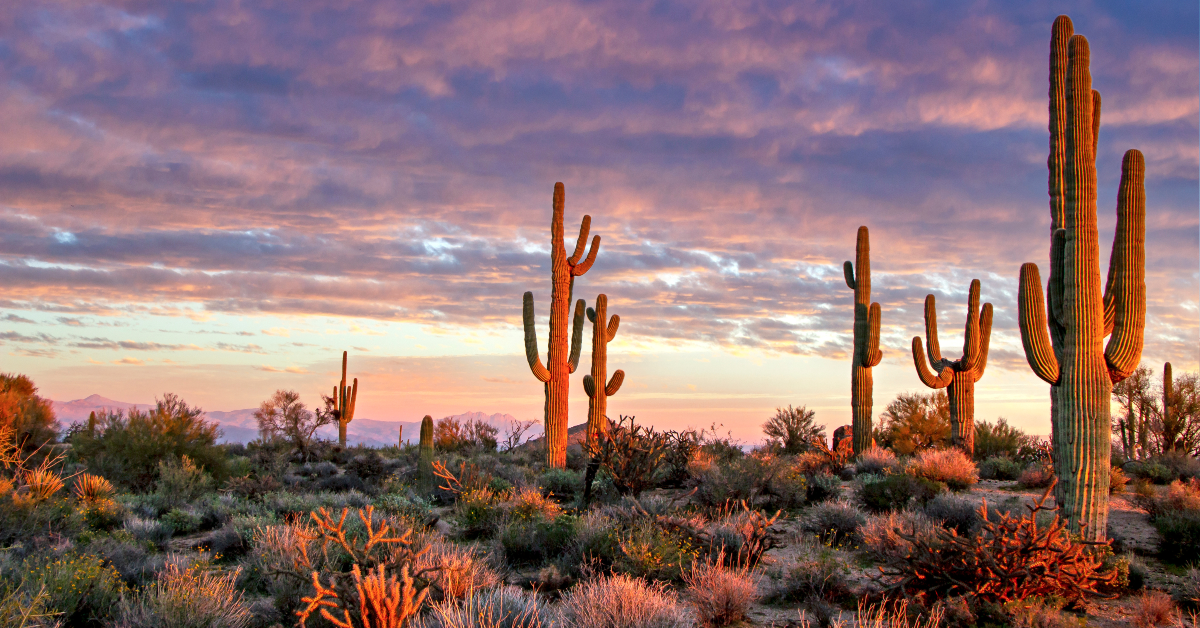 Retirees Who Moved to Arizona Say These 10 Things Aren't Worth the Hype