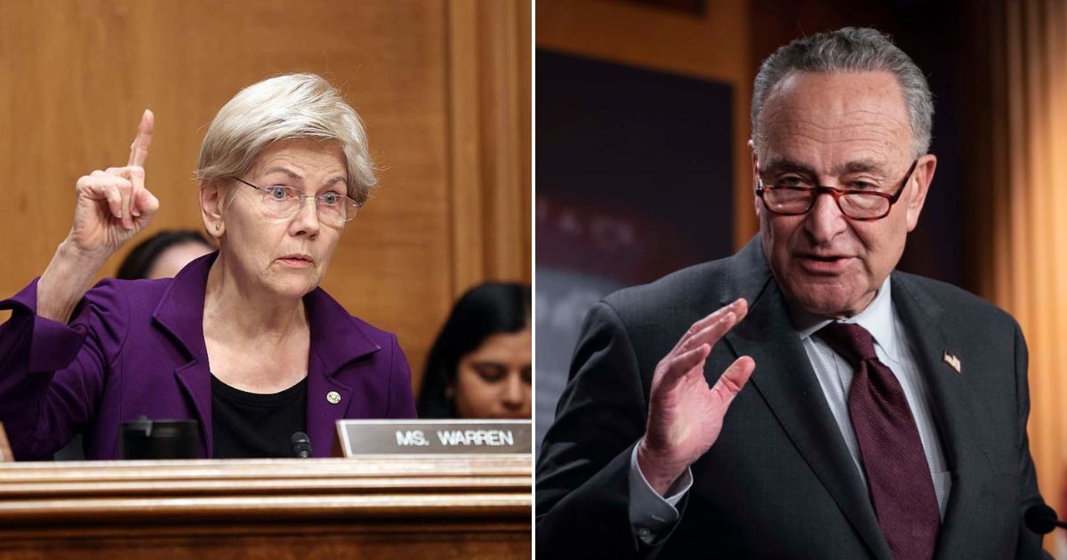 Dem divide deepens as Warren breaks from Schumer in must-win Senate race