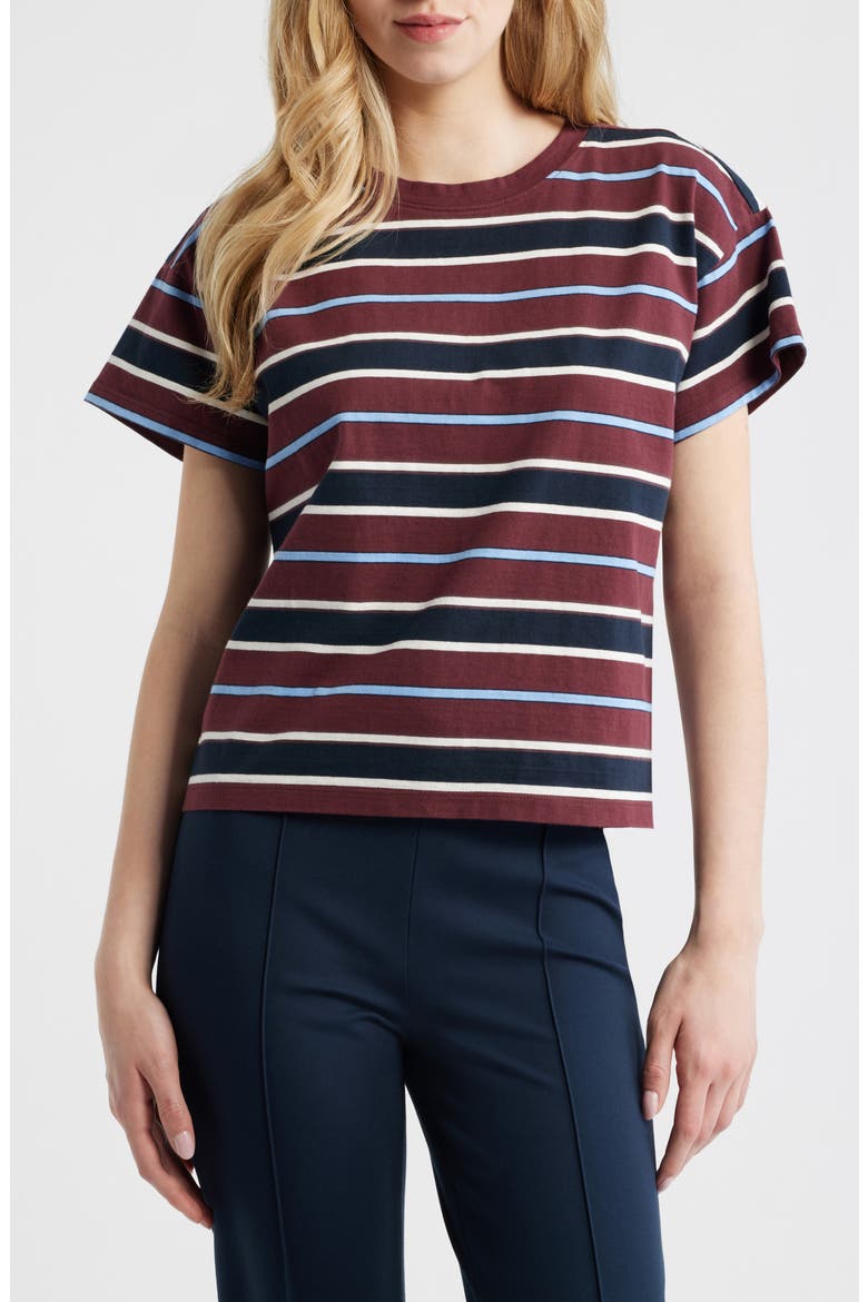 Kelly Stripe Boxy Cotton T-Shirt