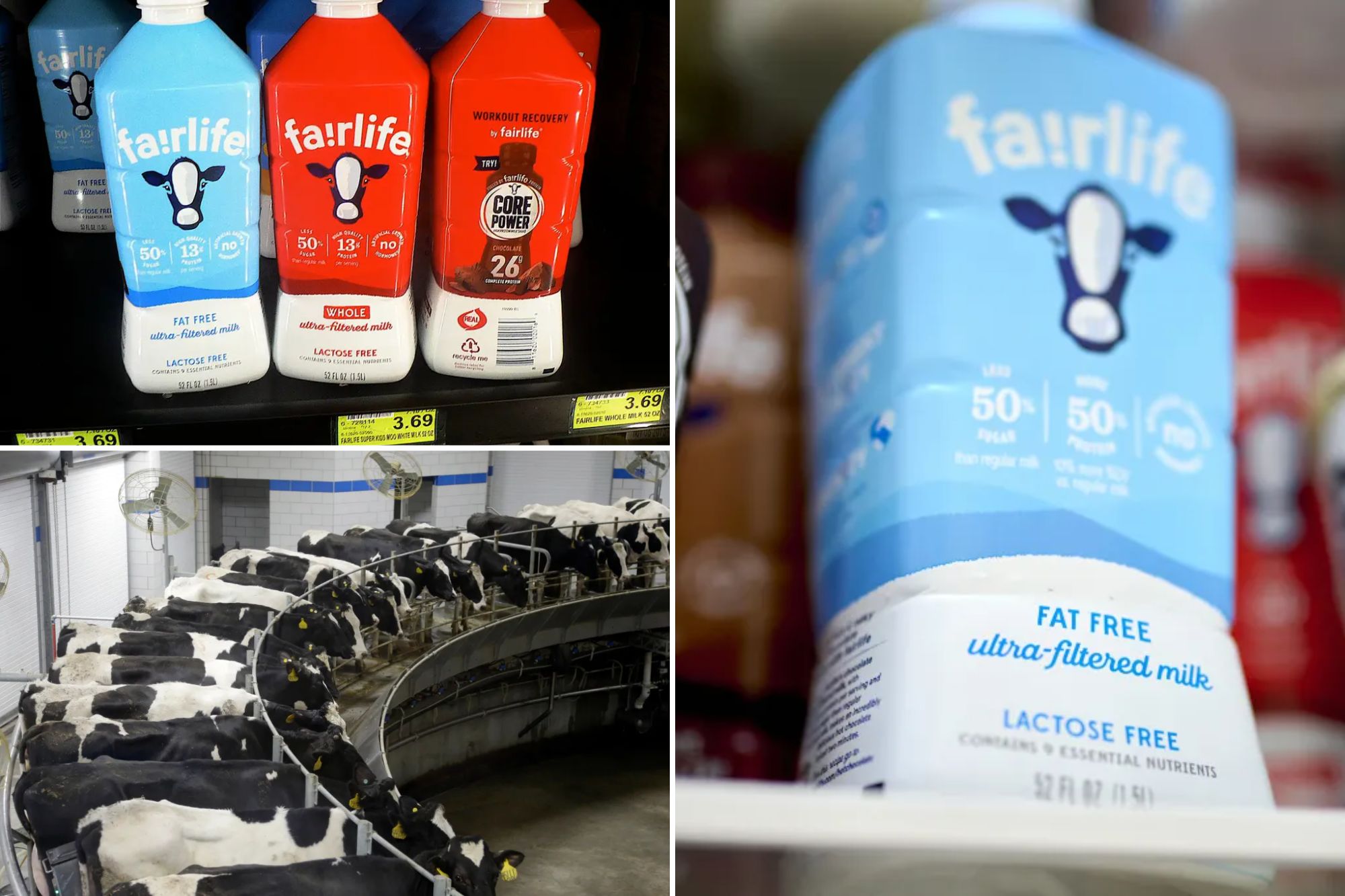 Coca-Cola’s milk brand halts US production after 'unauthorized access' breach