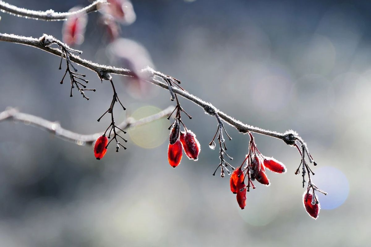 Weather: Chilly conditions to grip parts of South Africa