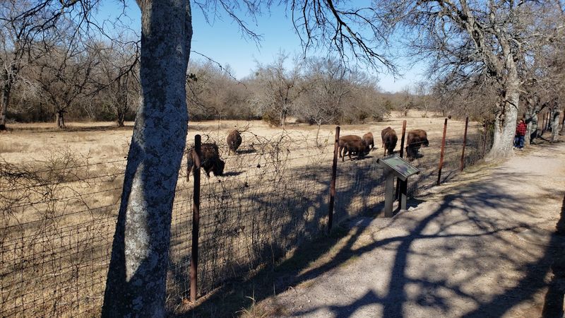 Walk A Little And Let The Pasture Open Up