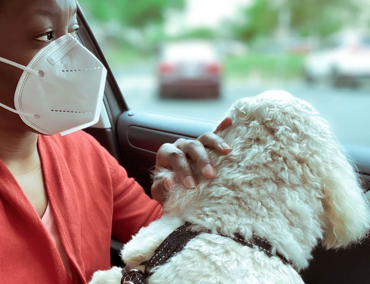 Close-up of woman wearing protective face mask waiting in car with dog