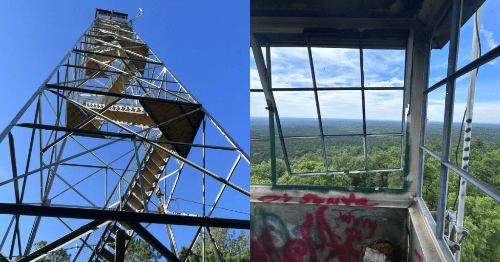 Left, a fire tower in South Carolina seen from the base. Right, the view of the forest from the top of a fire tower in South Carolina.