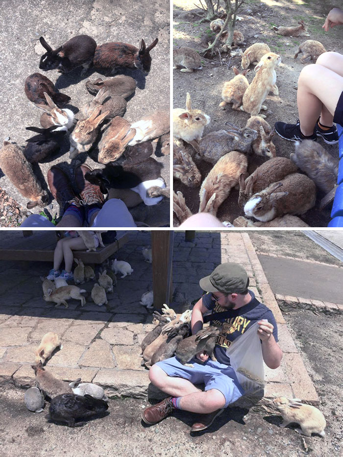 49 Pics That Show Countries Around The World Have Their Own Kinds Of “Pigeons”