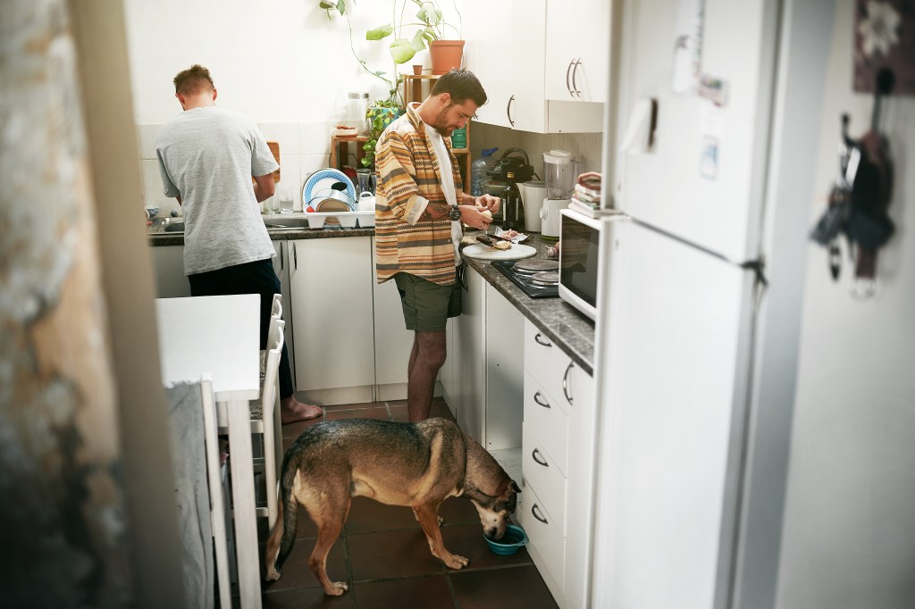 Cooking, men and friends with dog, house and healthy meal with happiness. Apartment, breakfast and guys with food, people and roommates with pet, kitchen and home with conversation and nutrition