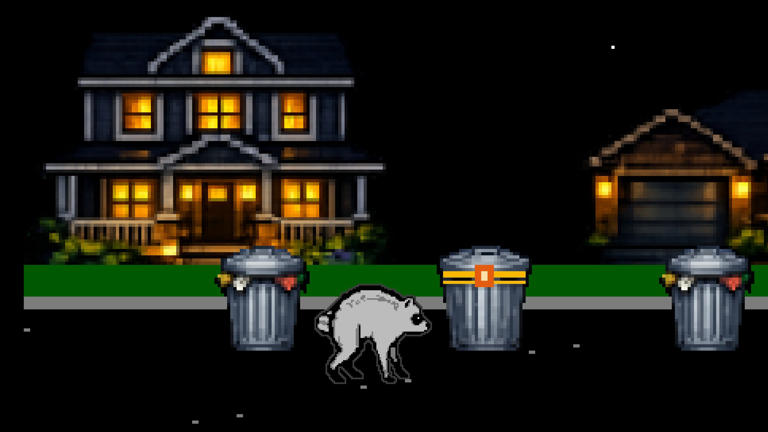 8-bit ‘Jimothy’: Viral sensation raids trash cans, eludes paparazzi in ...