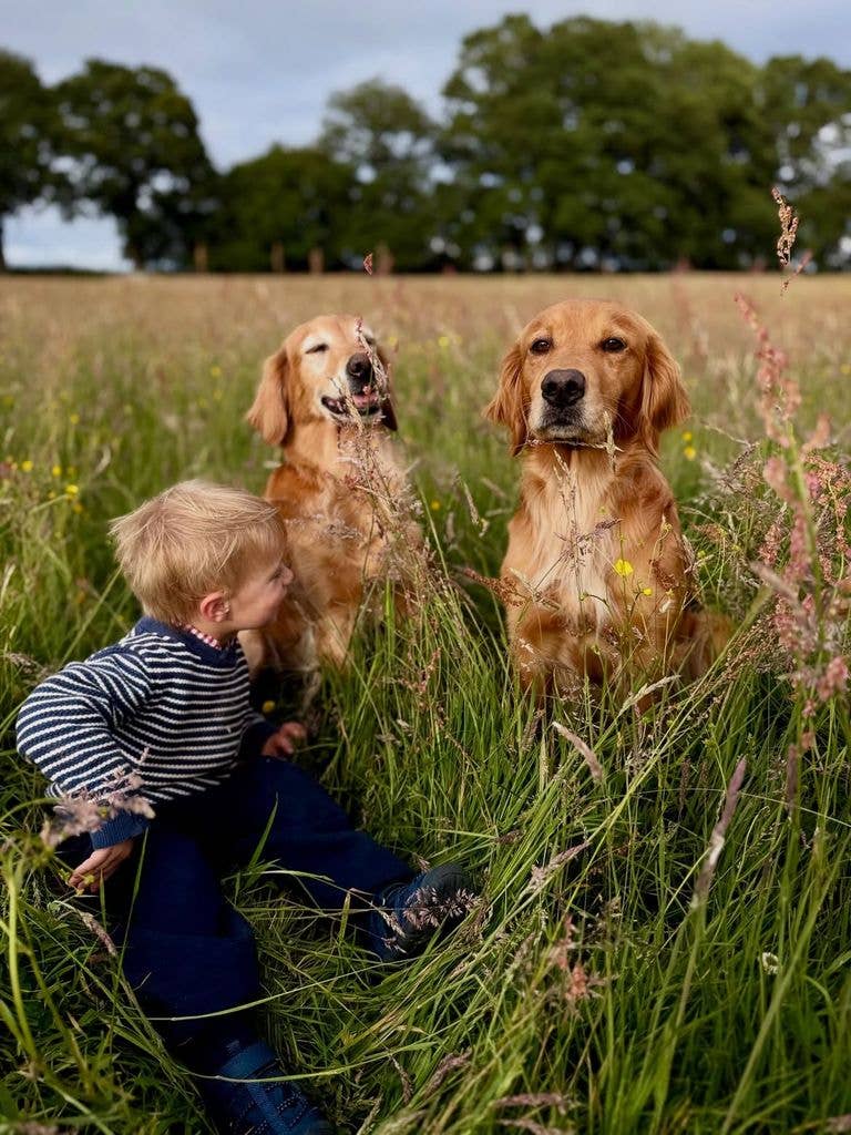 James Middleton's son Inigo was seen playing with the dogs in the grass