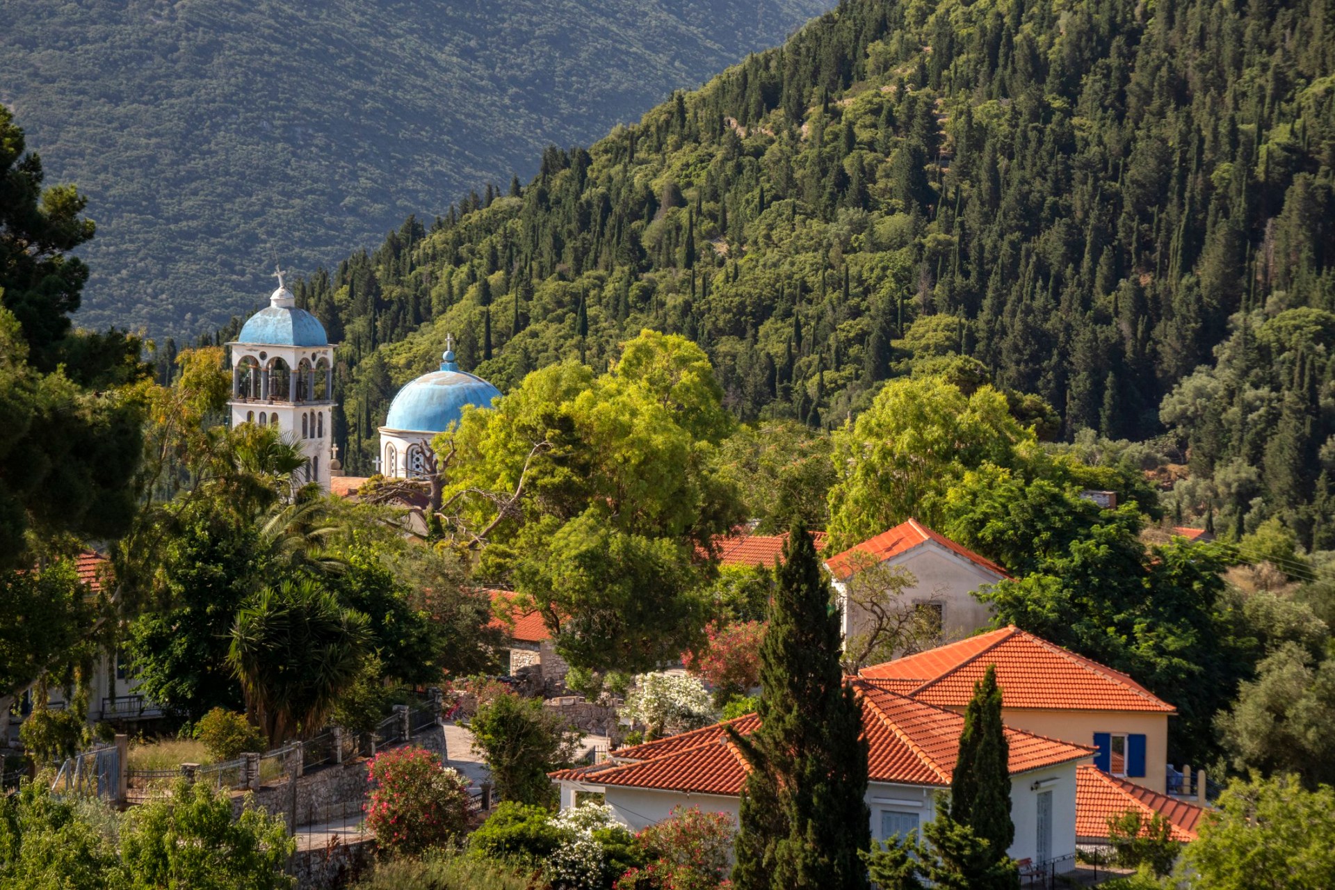 Cypresses and pine trees on Ithaca, Greece, with small blue domes and orange house roofs peeking out through the greenery.