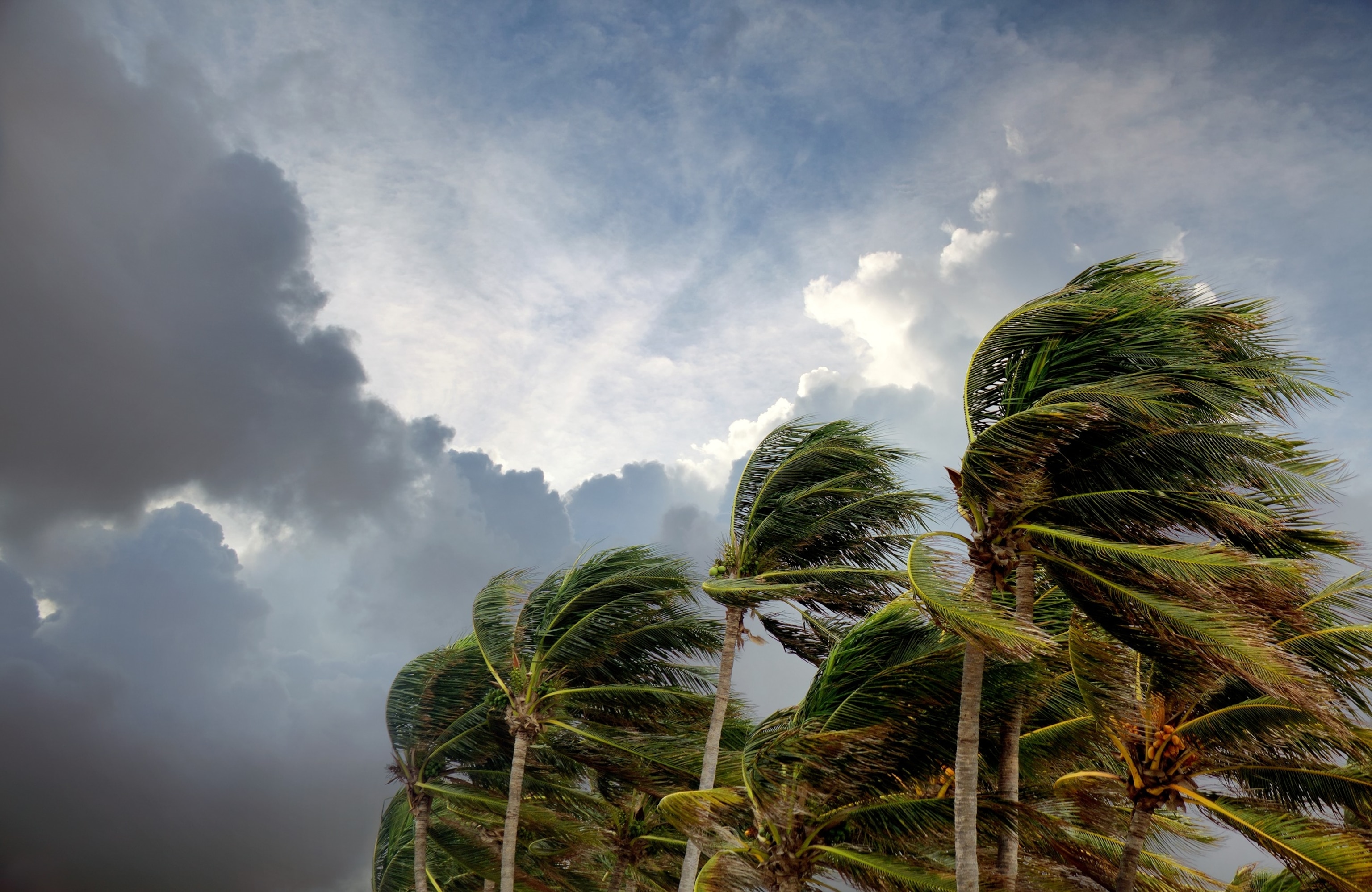 Tropical Storm Bertha takes shape off the Florida coast, prompting storm alerts