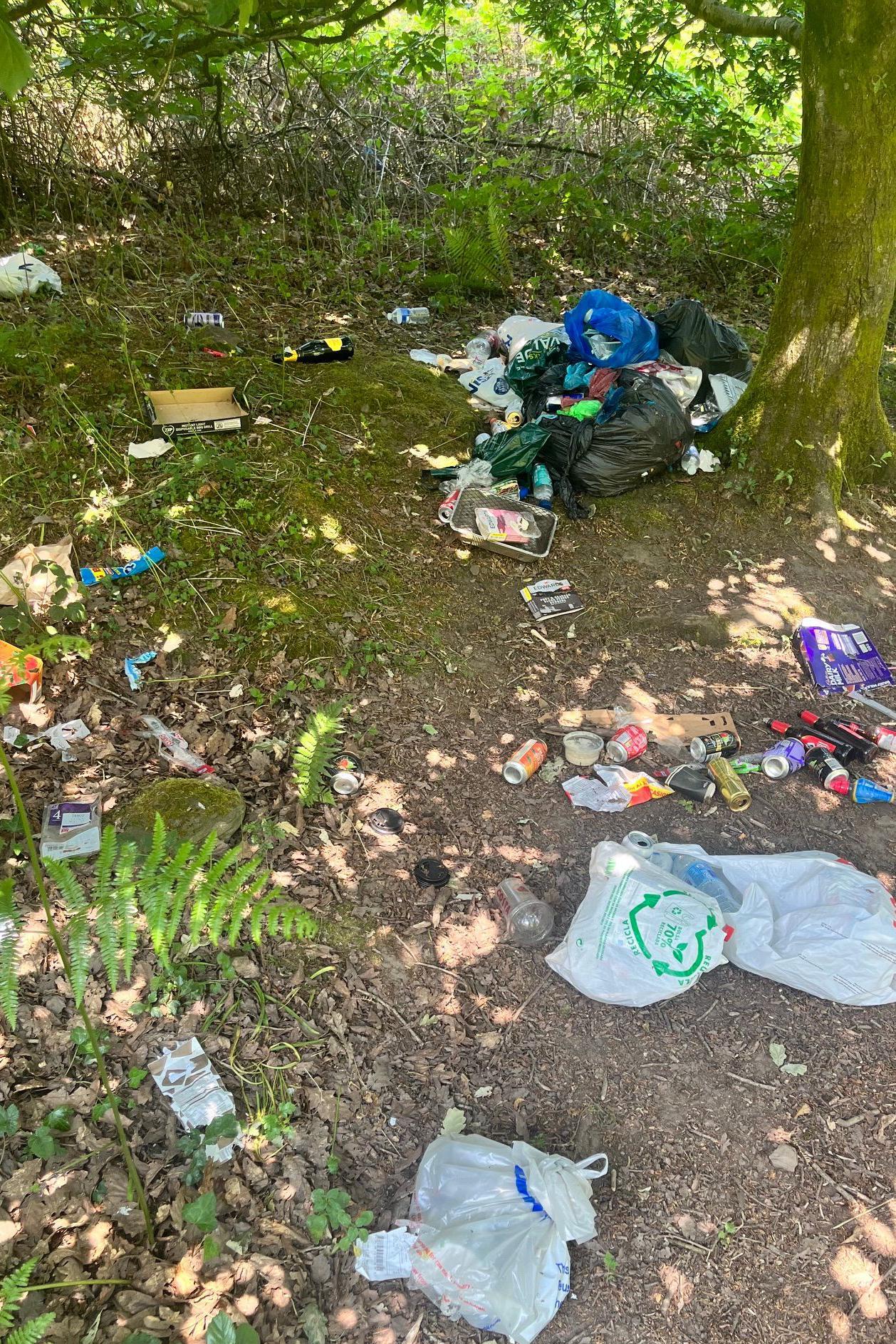 Due it its secluded location up a steep hill, some visitors choose to dump their rubbish at the reservoir, rather than carry it back down with them