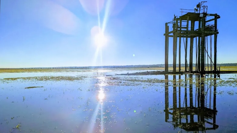 Catahoula Lake