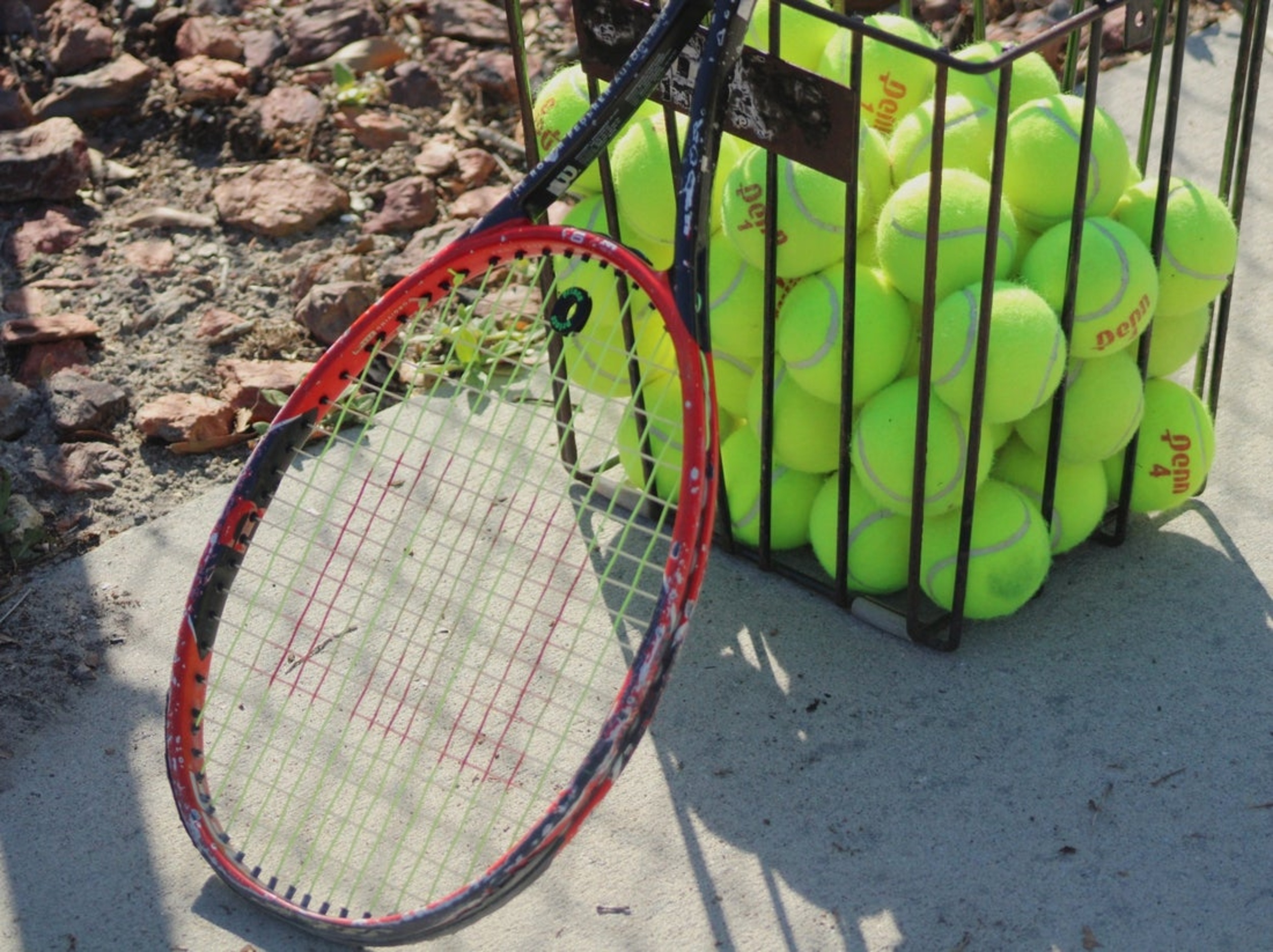Report: WTA to mandate genetic gender test