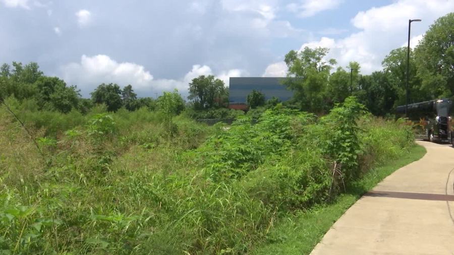DC BLOX purchases land next to Nashville Zoo for data center