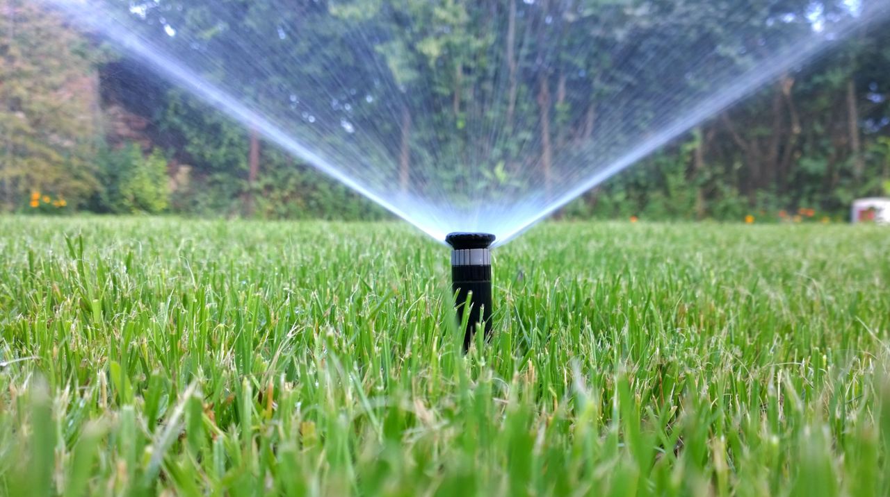 Sprinkle in the front yard