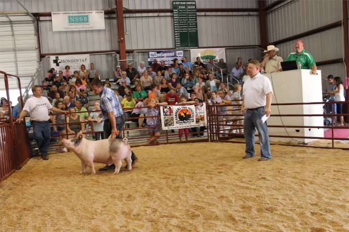 Hendricks County 4-H Fair offers family fun, new attractions and special events