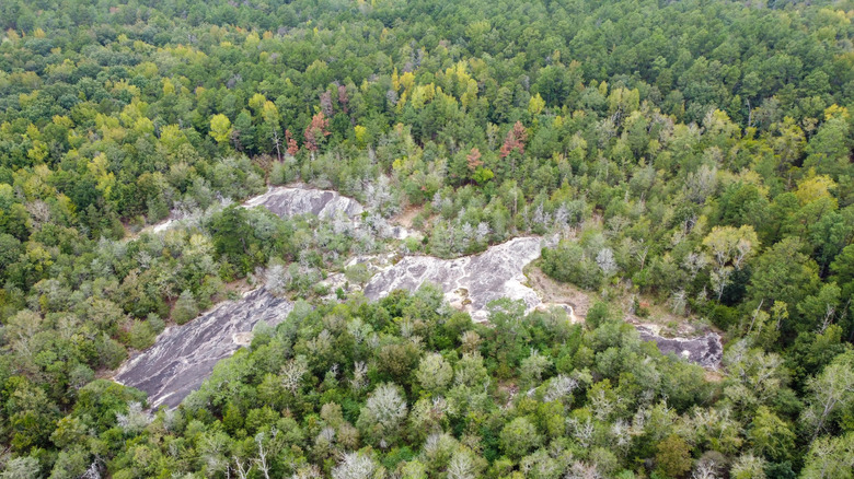 Forty Acre Rock near Kershaw, South Carolina seen from above