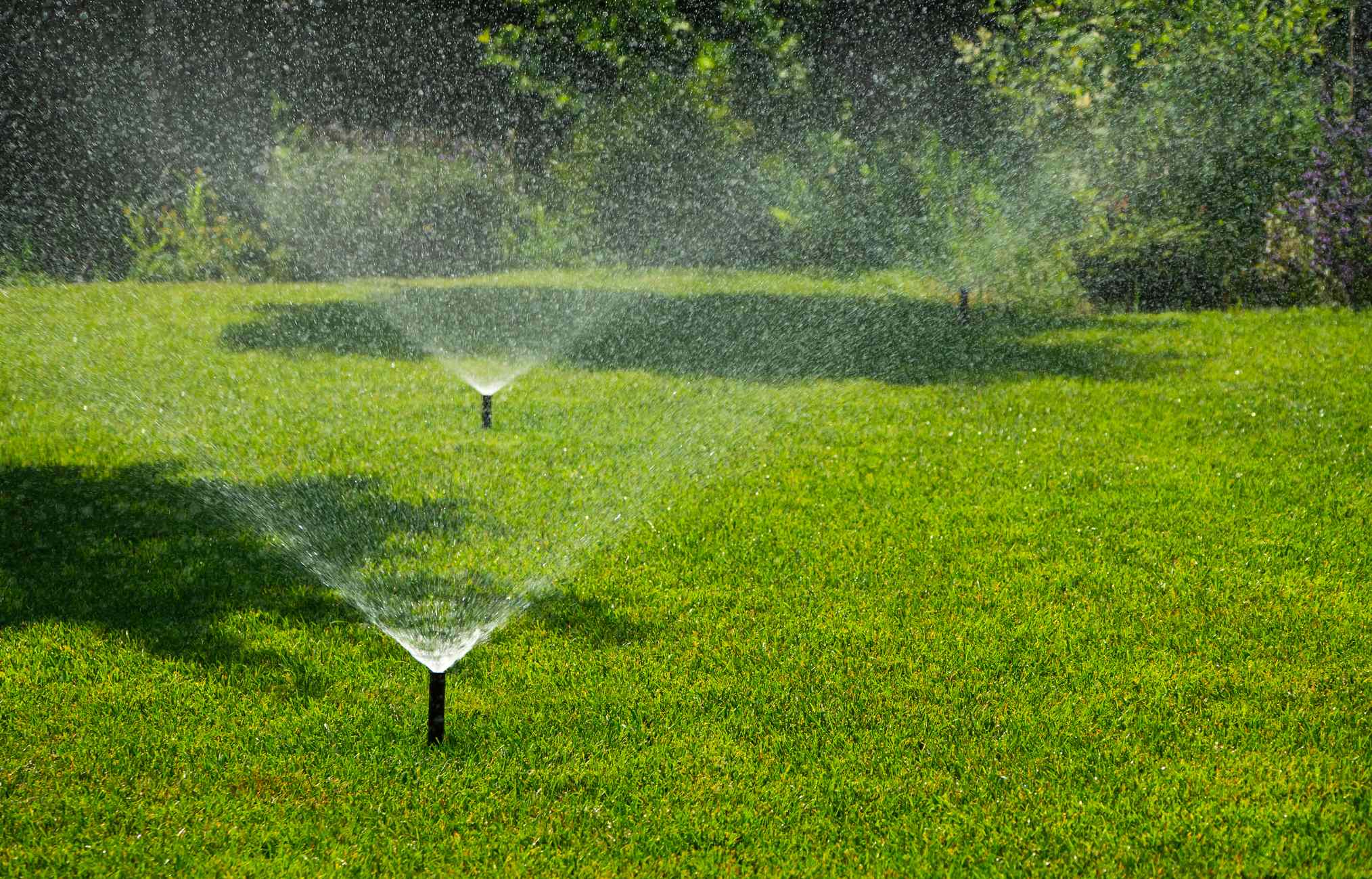 Sprinklers running in yard with trees