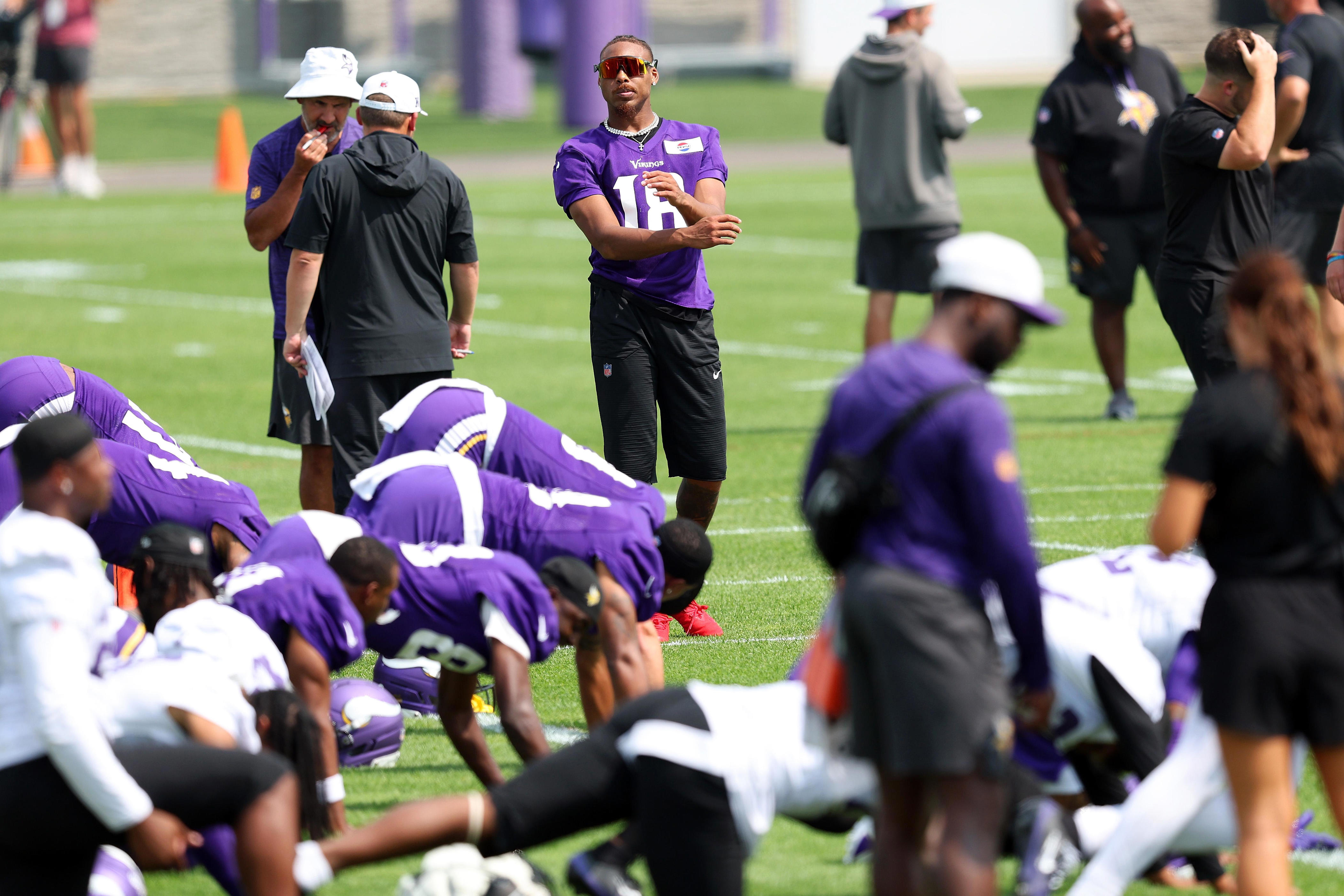 Vikings training camp preview
