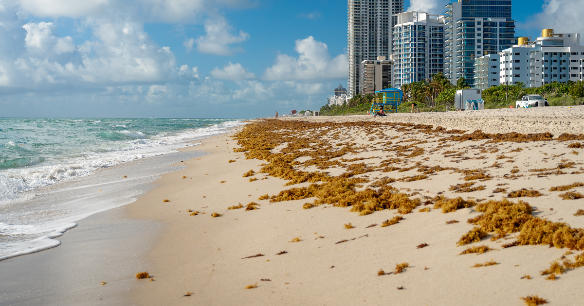 This one summer factor in Florida can catch travelers off guard