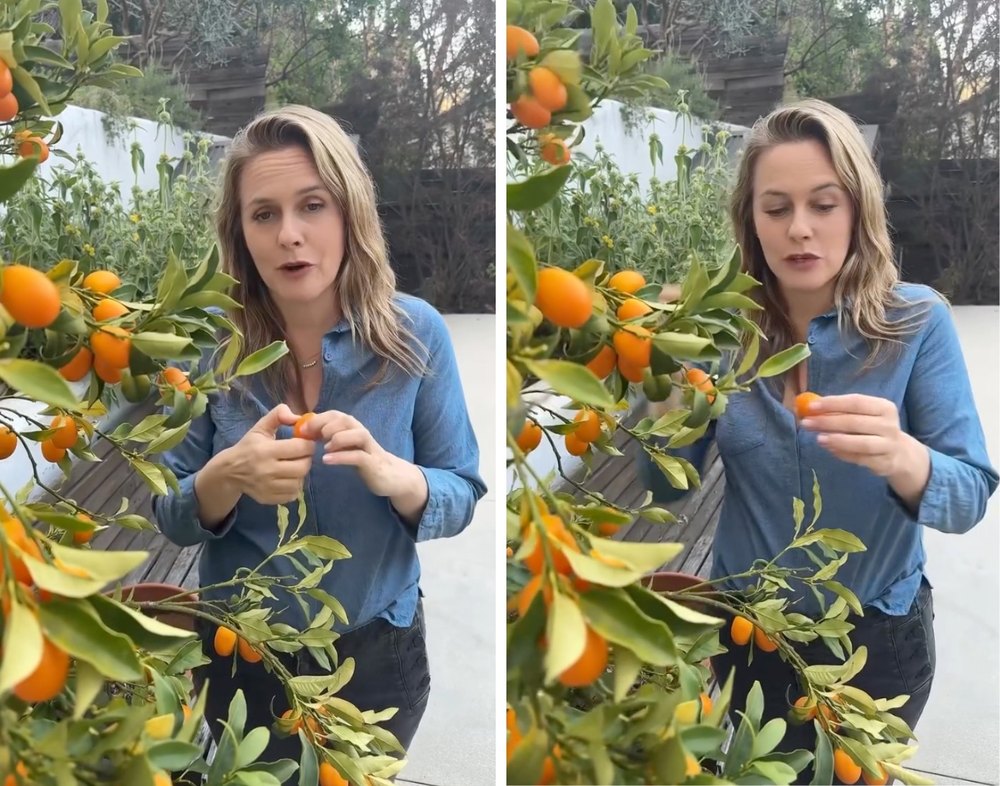 Alicia Silverstone shows off her garden at her Los Angeles home