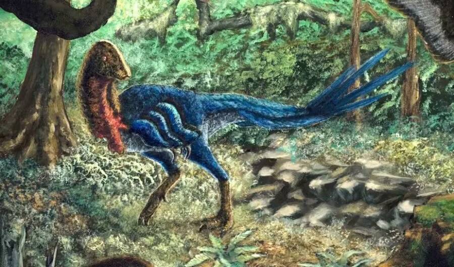 Eoneophron Infernalis