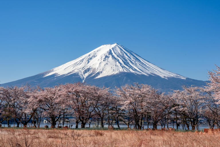 Climbing Mount Fuji just changed: The fees, caps, and gates every hiker ...