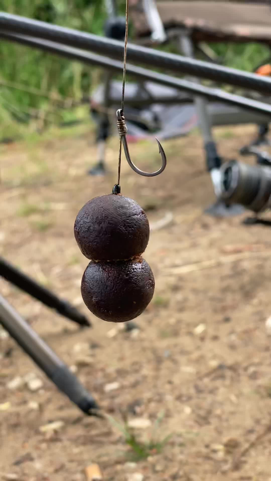 Everything new anglers need to know about carp fishing