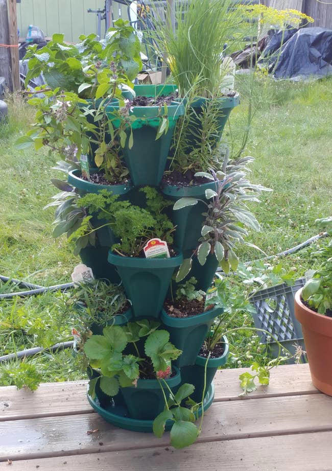 31 gardening products for balconies, patios, and small yards