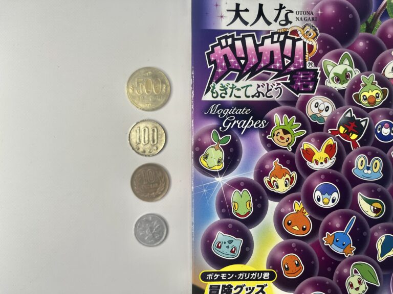 お金の管理が苦手な母がアイスに免じてしぶしぶ家計簿をつけ始めた話