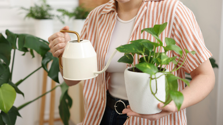 Woman holding house plants