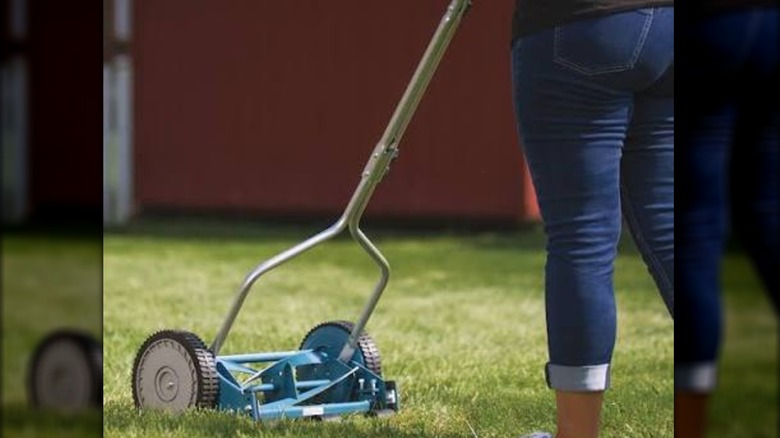 mowing with Great States reel mower