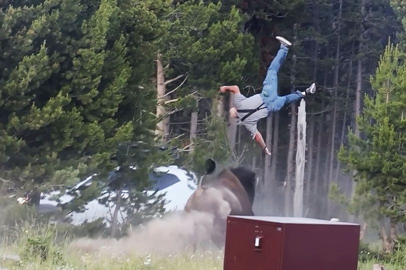 The intense encounter was filmed by Mike MacLeod, a former Army combat photographer who was camping nearby at the time
