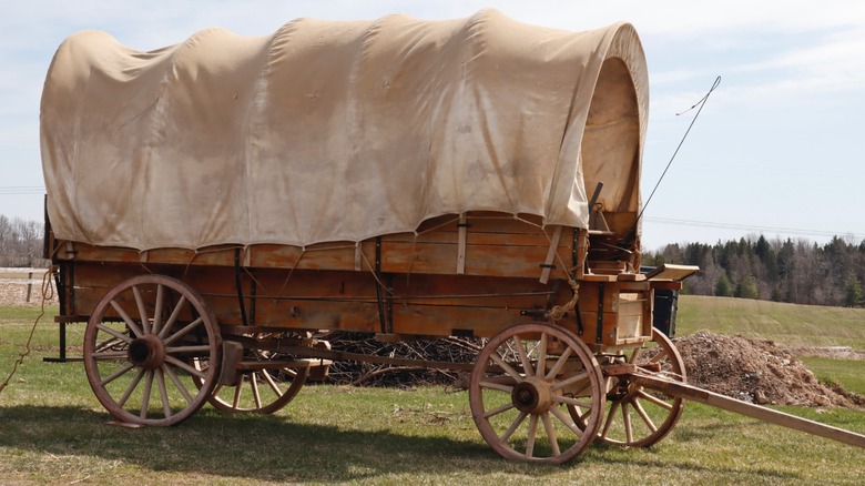 How wagon cooks transformed tough cuts of meat to feed hungry cowboys in the Old West
