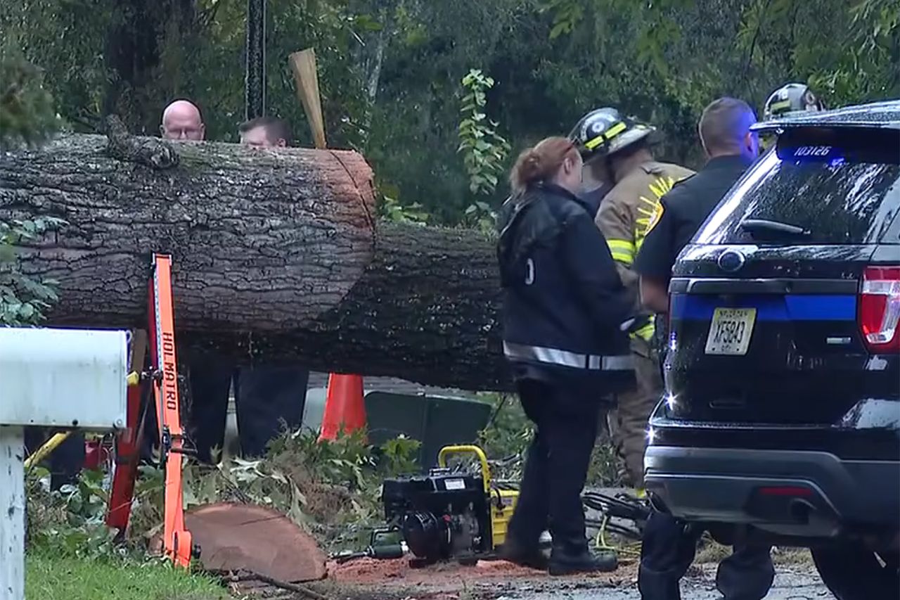 Patti and Steve Haller. Tragic Tree Accident Kills Loving Couple