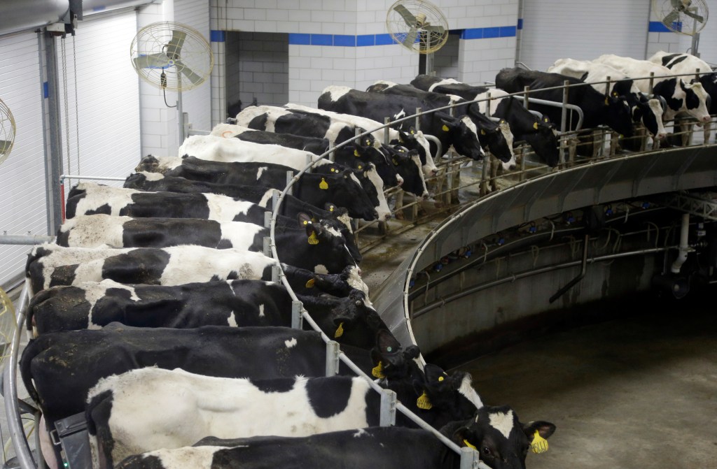 Coca-Cola’s milk brand halts US production after ‘unauthorized access’ breach