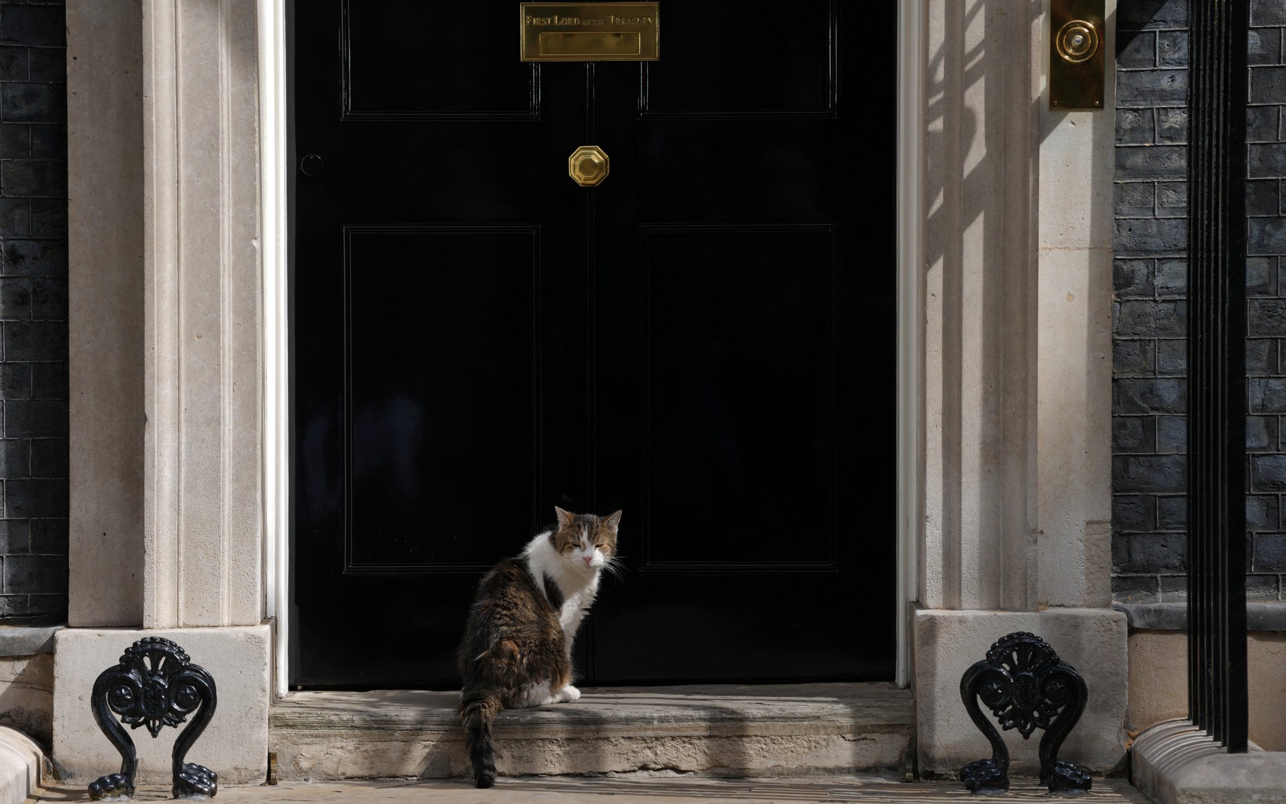 Larry the Cat is the Chief Mouser to the Cabinet Office