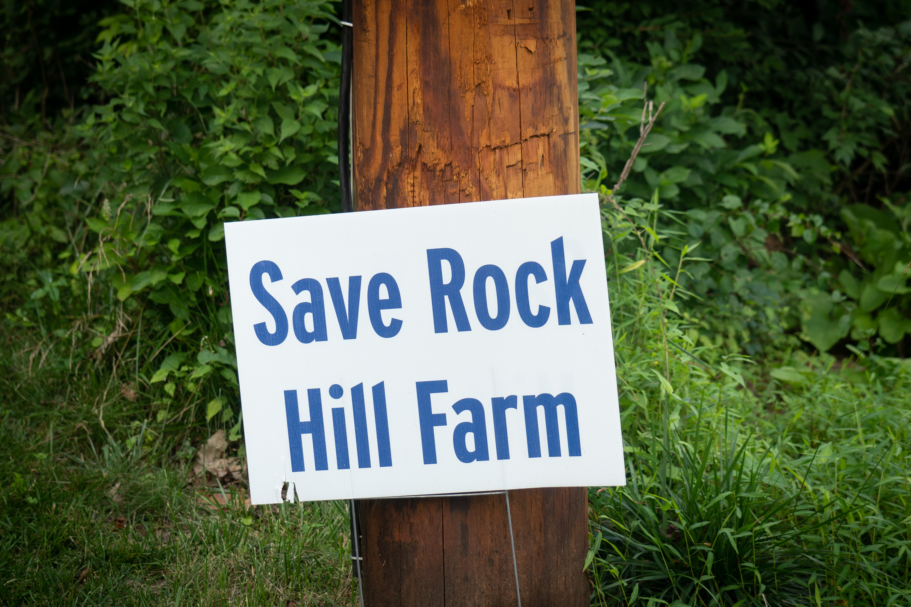 A Chester County judge has reversed a township's denial of luxury homes on hundreds of acres of Rock Hill Farm