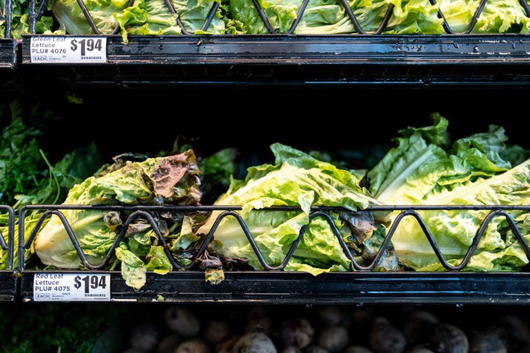 Health officials weigh in on whether it’s safe to eat lettuce